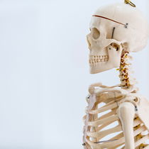 Praxis Physiotherapie Luz